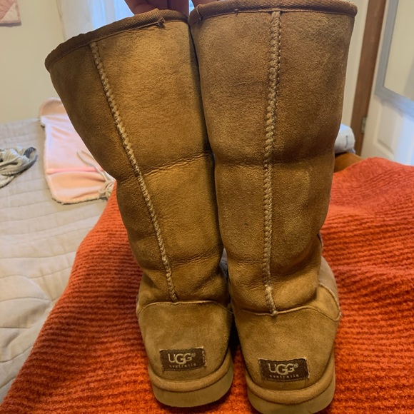 Classic Tall Chestnut UGG Boots - Picture 5 of 7
